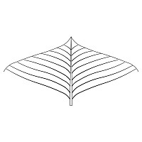 modern leaf pano 001